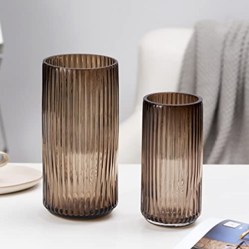 TIMEFOTO Flower Vase 9.7 inch Elegant Thick Glass Design