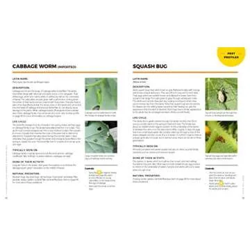 The Vegetable Garden Pest Handbook: Identify and Solve Common Pest Problems on Edible Plants - All Natural Solutions!