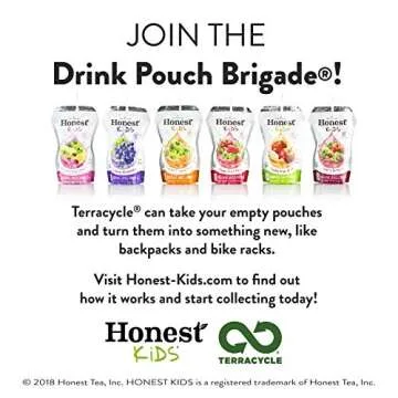 Honest Kids Super Fruit Punch Organic Fruit Juice Drink, 6.75 Fl Oz, 6.75 Fl Oz (Pack of 32)