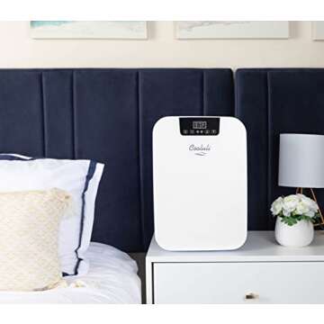 Cooluli 20 Liter Mini Fridge with Temperature Control - White Thermoelectric Cooler and Warmer for Bedroom, Office, Car, Dorm