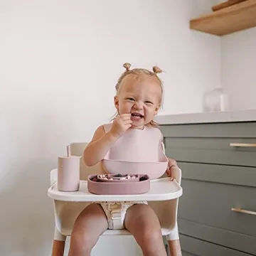 AVA + OLIVER Waterproof Silicone Bib Set with Adjustable Neck - Durable Silicone Bibs for Babies and Toddlers - Deep Food Catcher Pocket Bib for Mess-free Mealtimes - Set of 2 (Dusty Rose)