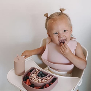 AVA + OLIVER Waterproof Silicone Bib Set with Adjustable Neck - Durable Silicone Bibs for Babies and Toddlers - Deep Food Catcher Pocket Bib for Mess-free Mealtimes - Set of 2 (Dusty Rose)