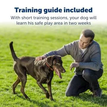 PetSafe Stay & Play Wireless Dog Collar for Safe Containment