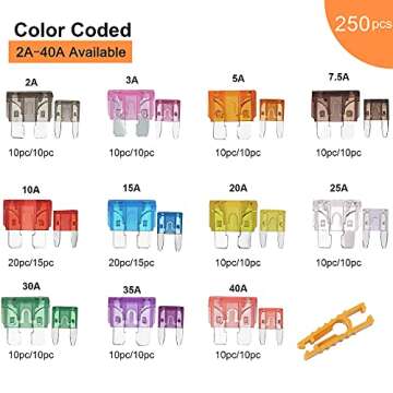 CrocSee 250 Pieces Car Fuses Assortment Kit - Blade-Type Automotive Fuses - Standard & Mini Sizes