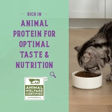 Open Farm Goodbowl Cat Food Rich in Protein and Flavor