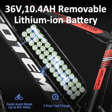 Totem Electric Mountain Bike with 1000W Motor and 21 Speed