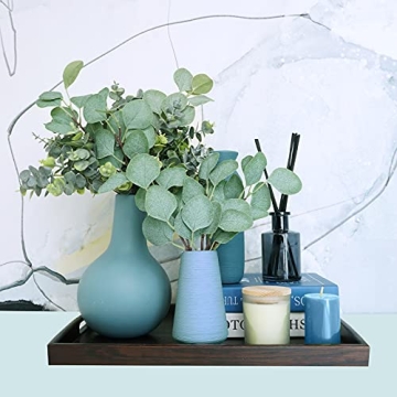 10 Pcs Mixed Eucalyptus Leaves for Home Decor and Crafts