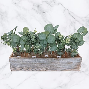 10 Pcs Mixed Eucalyptus Leaves for Home Decor and Crafts