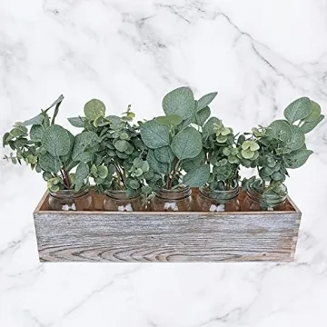 10 Pcs Mixed Eucalyptus Leaves for Home Decor and Crafts