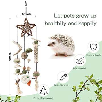 ZALALOVA Bunny Rabbits Chew Toys, Bunny Chew Cage Hanging Toys with Treats for Small Animals Teeth G...