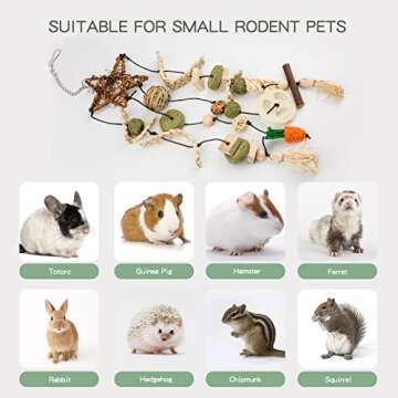 ZALALOVA Bunny Rabbits Chew Toys, Bunny Chew Cage Hanging Toys with Treats for Small Animals Teeth Grinding Care Five-Star Shape Treats Rattan and Balls Pet Snacks