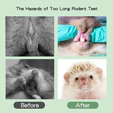 ZALALOVA Bunny Rabbits Chew Toys, Bunny Chew Cage Hanging Toys with Treats for Small Animals Teeth Grinding Care Five-Star Shape Treats Rattan and Balls Pet Snacks