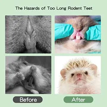 ZALALOVA Bunny Rabbits Chew Toys, Bunny Chew Cage Hanging Toys with Treats for Small Animals Teeth Grinding Care Five-Star Shape Treats Rattan and Balls Pet Snacks