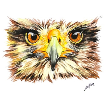 36-Color Watercolor Paint Set Safe Washable for Artists