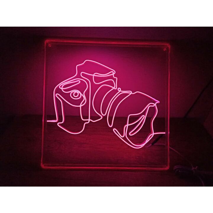 Handcrafted EL Wire Digital Camera Neon Sign in Pink