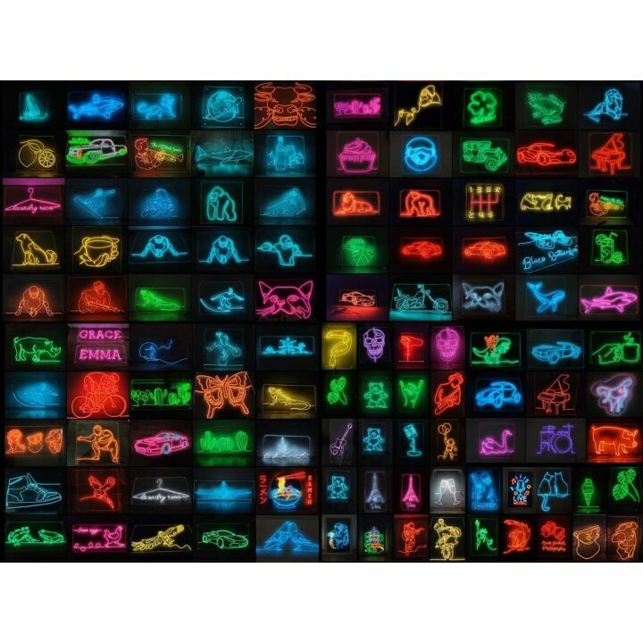 Handcrafted EL Wire Digital Camera Neon Sign in Pink