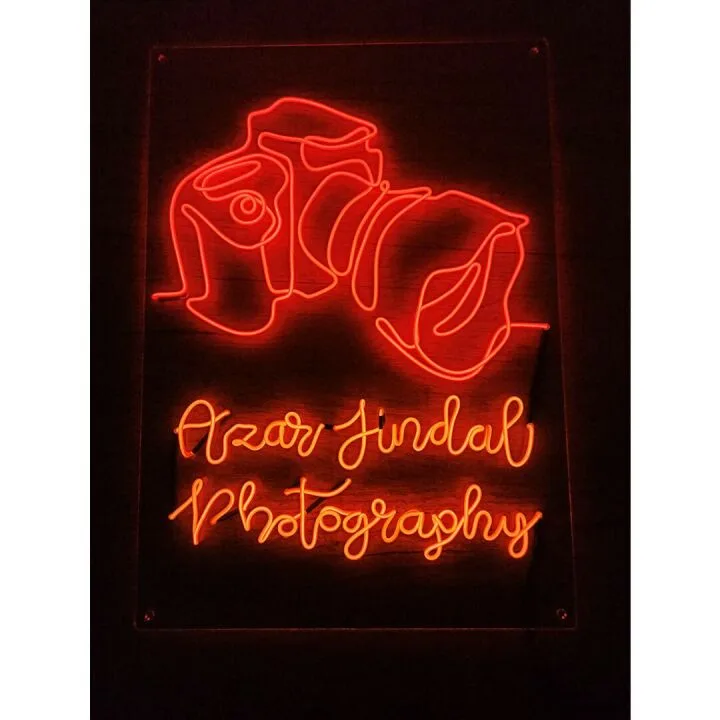 Handcrafted EL Wire Digital Camera Neon Sign in Pink