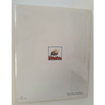 The Rose in My Garden - Vibrant Children's Book