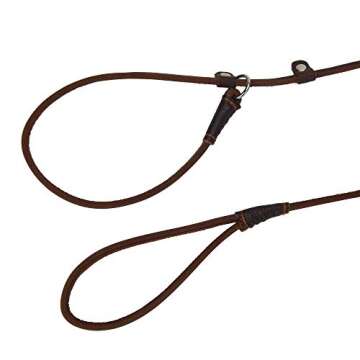 Adjustable Real Leather Slip Dog Leash for Small Dogs