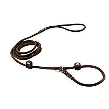 Adjustable Real Leather Slip Dog Leash for Small Dogs