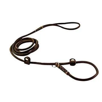 Adjustable Real Leather Slip Dog Leash for Small Dogs
