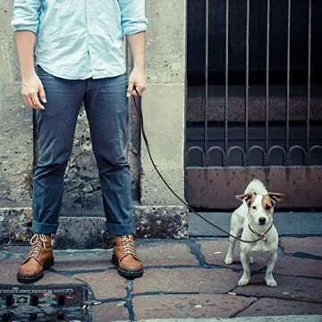 Adjustable Real Leather Slip Dog Leash for Small Dogs