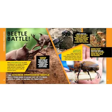 Engaging Bug Facts Book for Kids Aged 5-10