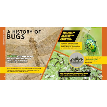 Engaging Bug Facts Book for Kids Aged 5-10