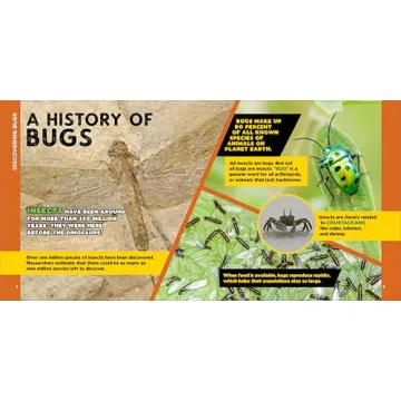 Engaging Bug Facts Book for Kids Aged 5-10