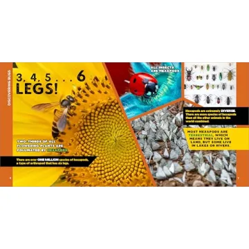 Engaging Bug Facts Book for Kids Aged 5-10