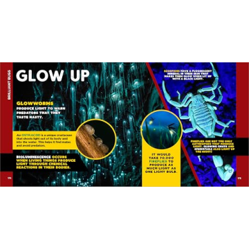 Engaging Bug Facts Book for Kids Aged 5-10