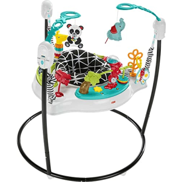 Fisher-Price Pink Petals Jumperoo Musical Activity Center