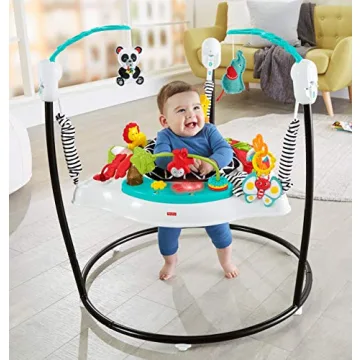 Fisher-Price Pink Petals Jumperoo Musical Activity Center