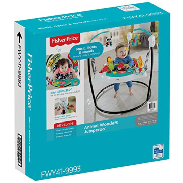 Fisher-Price Pink Petals Jumperoo Musical Activity Center