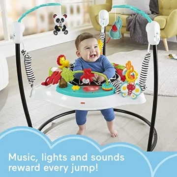 Fisher-Price Pink Petals Jumperoo Musical Activity Center