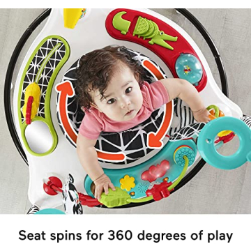 Fisher-Price Pink Petals Jumperoo Musical Activity Center