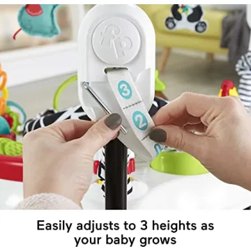 Fisher-Price Pink Petals Jumperoo Musical Activity Center