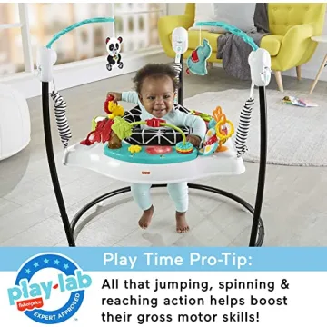 Fisher-Price Pink Petals Jumperoo Musical Activity Center