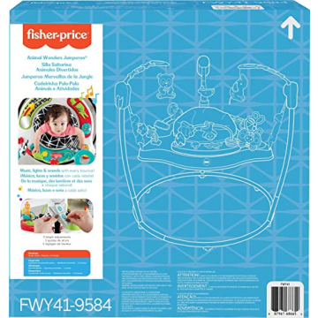 Fisher-Price Pink Petals Jumperoo Musical Activity Center