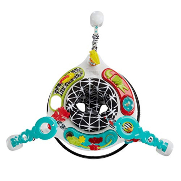 Fisher-Price Pink Petals Jumperoo Musical Activity Center