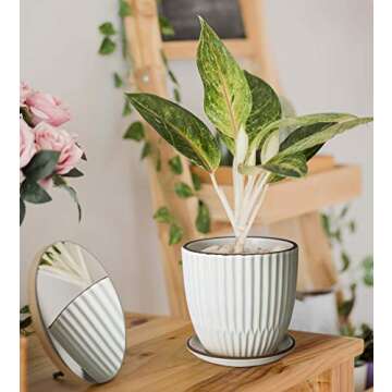 D'vine Dev Set of 2 Stoneware Planter Pots, Ceramic Pot with Drainage Hole and Saucers, 4.5 Inch 5.8 Inch, Ivory, 99-D-1