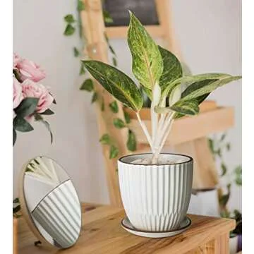 D'vine Dev Set of 2 Stoneware Planter Pots, Ceramic Pot with Drainage Hole and Saucers, 4.5 Inch 5.8 Inch, Ivory, 99-D-1
