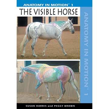 Anatomy in Motion 1: The Visible Horse - A Comprehensive Guide to Equine Movement