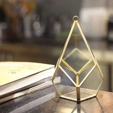 Kimdio Geometric Terrarium Clear Glass Tabletop Planter Air Plant Holder Display for Succulent Fern Moss Air Plants Holder Miniature Outdoor Fairy Garden DIY Gift