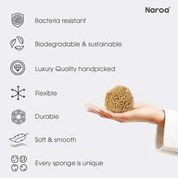 Naroa Baby Bath Sponge | Natural Soft Sea Sponge for Newborn Baby Bathing | Premium Unbleached Sea Wool Sponge for Toddlers Soft Skin | Baby Bath Essentials Wash Gift Registry Infant Boy Girl