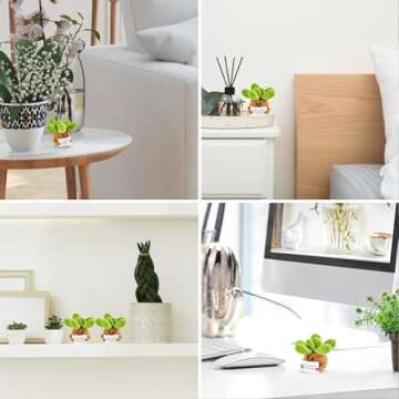 Hoedia Handmade Emotional Pickle Gift, Cucumber Crochet Doll Inspirational Gifts with Cards, Cute Knitted Funny Support Pickle Potato Friend Birthday (Positive Succulent)