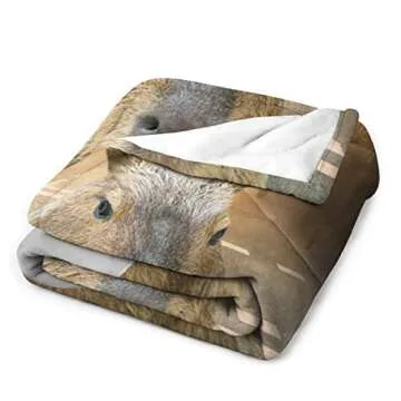 Capybara Blanket Gift - 50x40 Inches Small Blanket for Kids, Boys & Girls - Soft Plush Fuzzy Blankets for Couch, Sofa - Cute Capybara Stuff Throws Gifts for Capybara Lovers