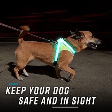 Noxgear LightHound Durable Illuminated Dog Harness