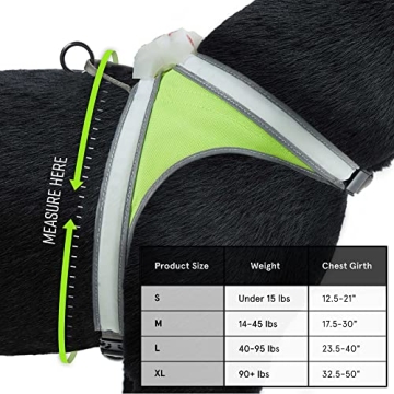 Noxgear LightHound Durable Illuminated Dog Harness