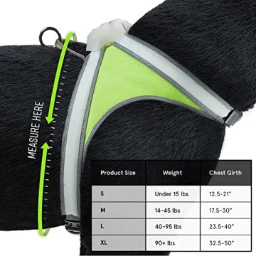 Noxgear LightHound Durable Illuminated Dog Harness